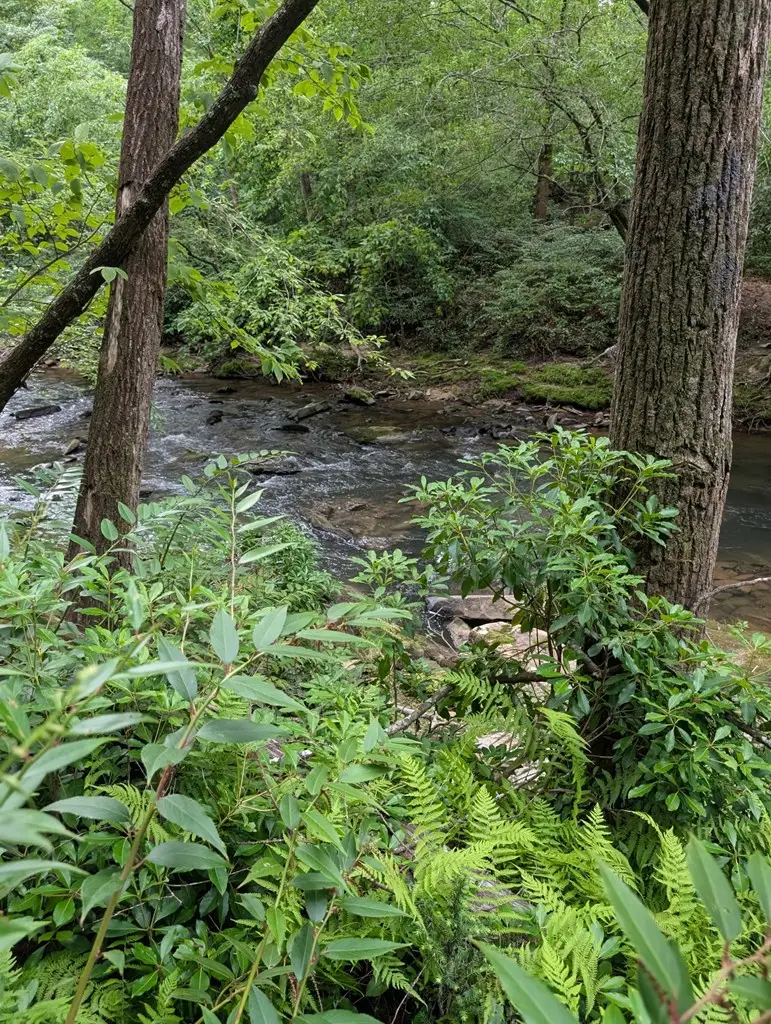 Lot 32 Byers Road, Blairsville, GA 30512 - #3