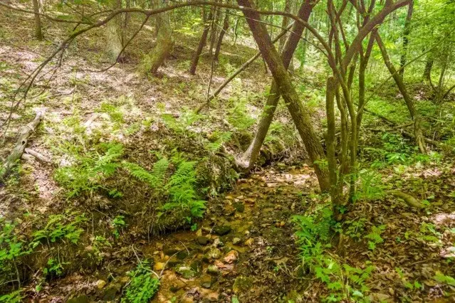 LOT 32 Oceola Drive, Ellijay, GA 30540 - #3