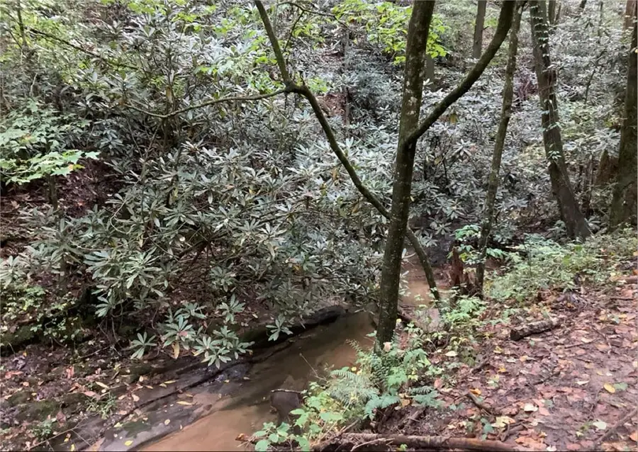 0 Laurel Overlook Road, Ellijay, GA 30540 - #2