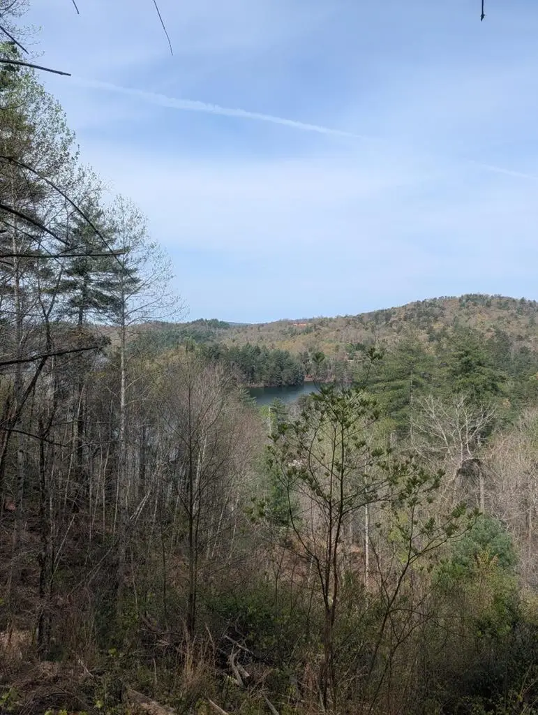 Lt 7A Lake Appalachia Ac Drive, Murphy, NC 28906 - #1