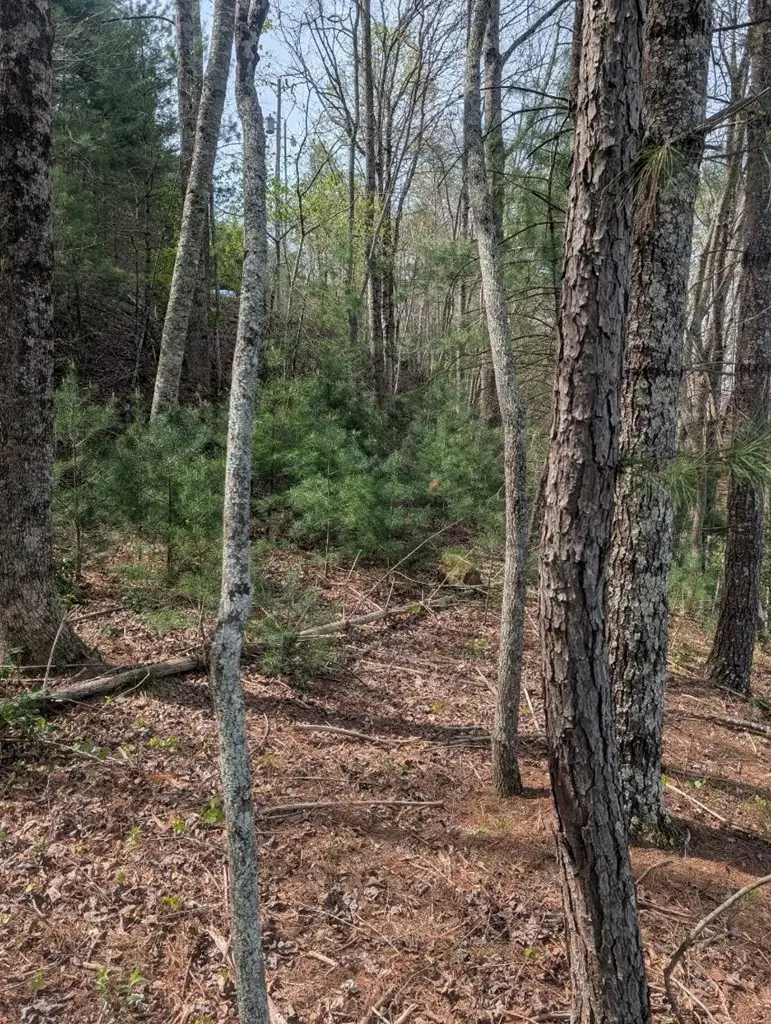 Lt 7A Lake Appalachia Ac Drive, Murphy, NC 28906 - #2