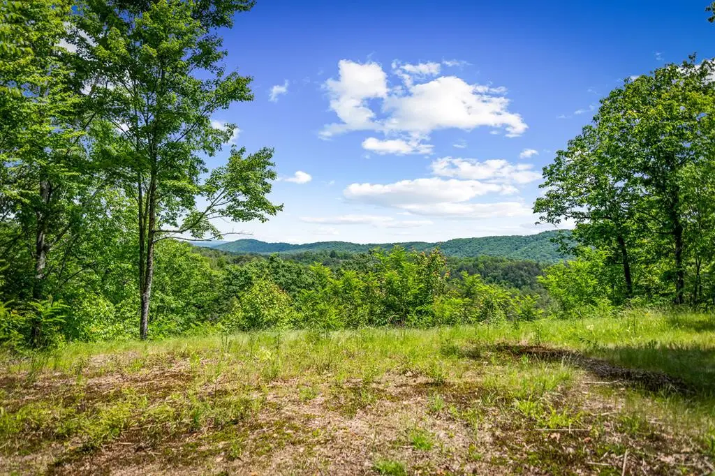 Lt 379 Dream Catcher, Blue Ridge, GA 30513 - #1