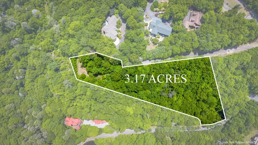 Lt 379 Dream Catcher, Blue Ridge, GA 30513 - #3