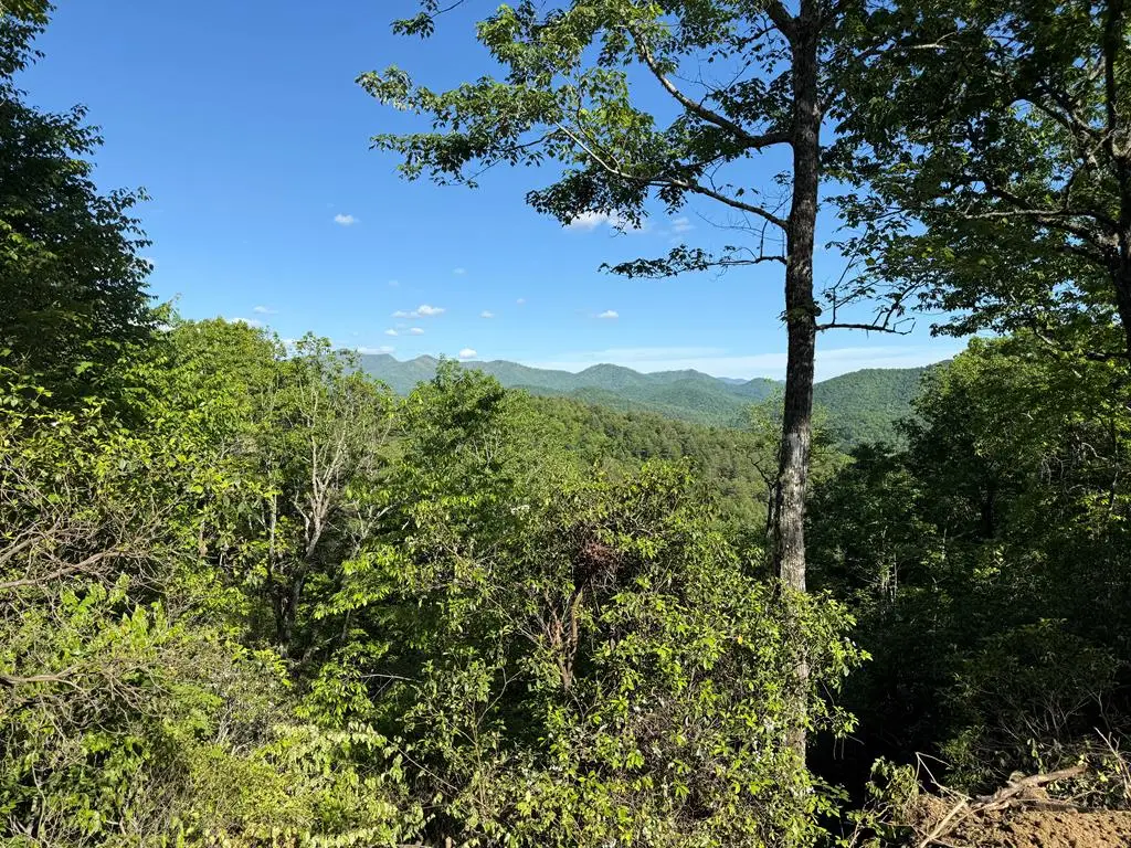 294 Shearer Ridge, Murphy, NC 28906 - #1