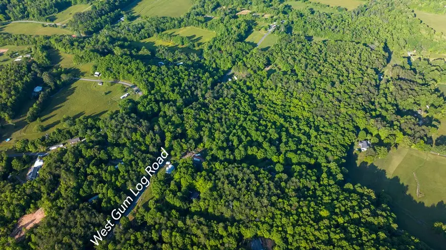 TR 1&2 W Gum Log Road, Warne, NC 28909 - #2