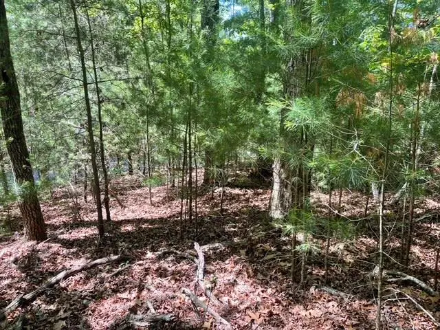 Lot 2 Mount Pleasant Ridge Road, Blairsville, GA 30512 - #1