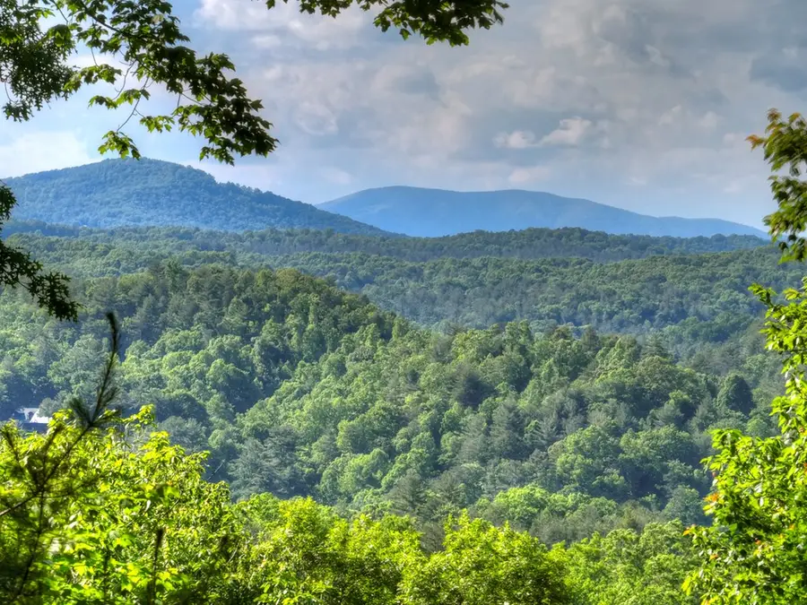 423 Laurel Creek Road, Blue Ridge, GA 30513 - #3