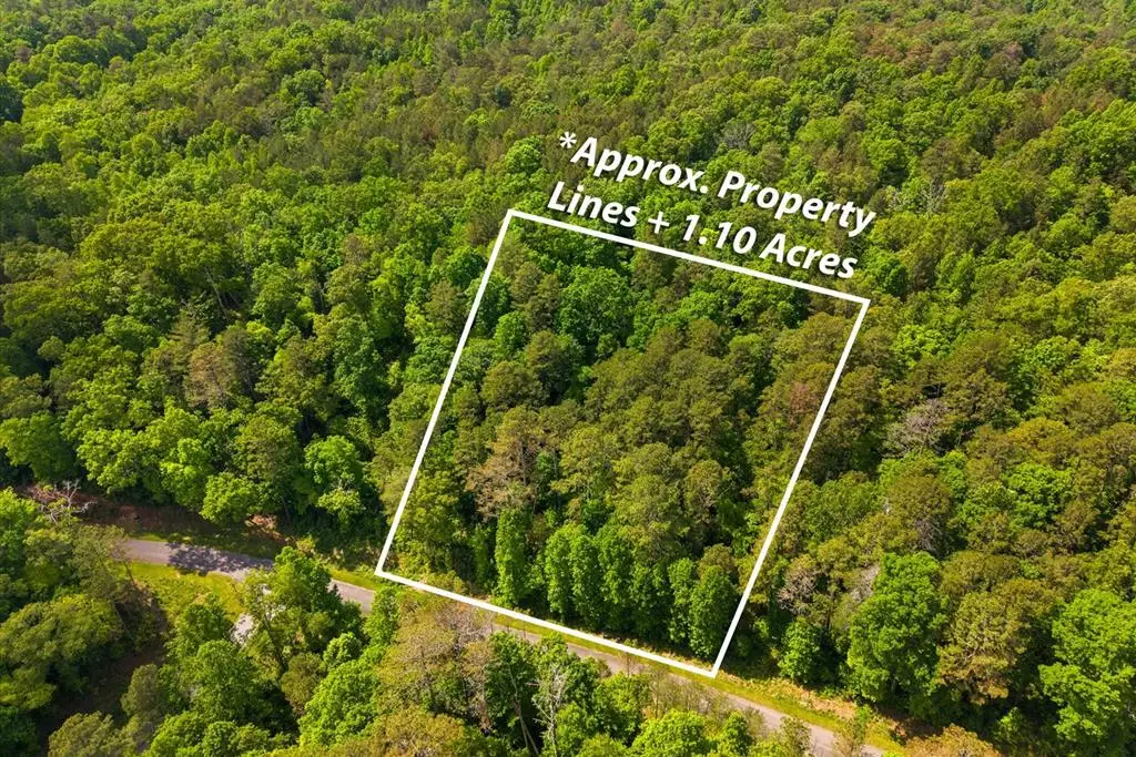 Lot 240 Pinnacle Dr, Ellijay, GA 30540 - #1