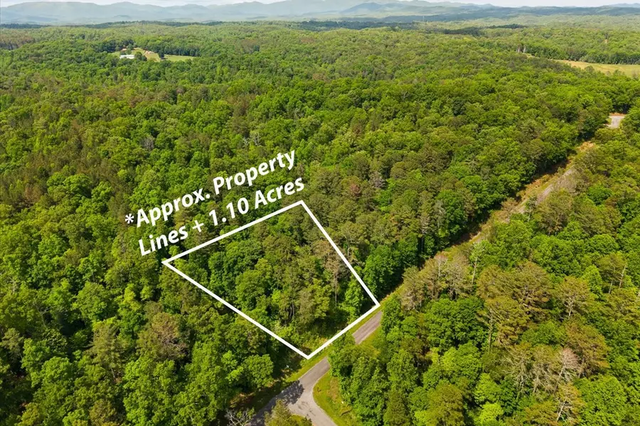 Lot 240 Pinnacle Dr, Ellijay, GA 30540 - #3
