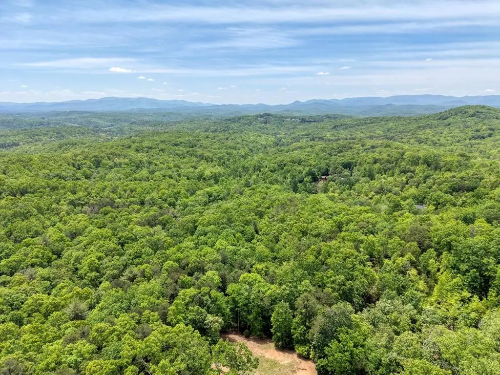 57.30 AC Stuart View Drive, Mineral Bluff, GA 30512 - #1
