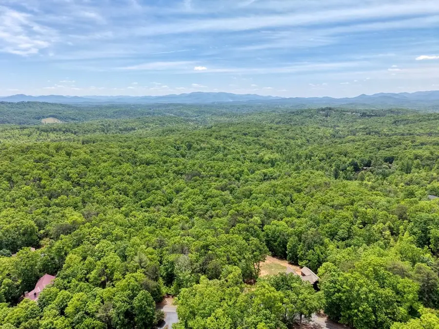 57.30 AC Stuart View Drive, Mineral Bluff, GA 30512 - #2