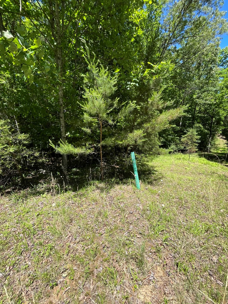 104 Saltaire Drive, Blairsville, GA 30512 - #2