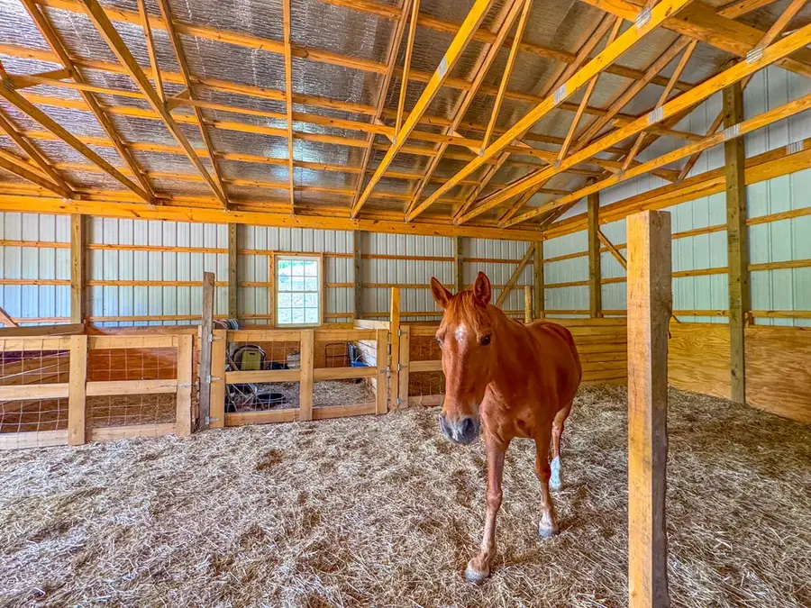 3325 Pack Mountain Road, Murphy, NC 28906 - #3