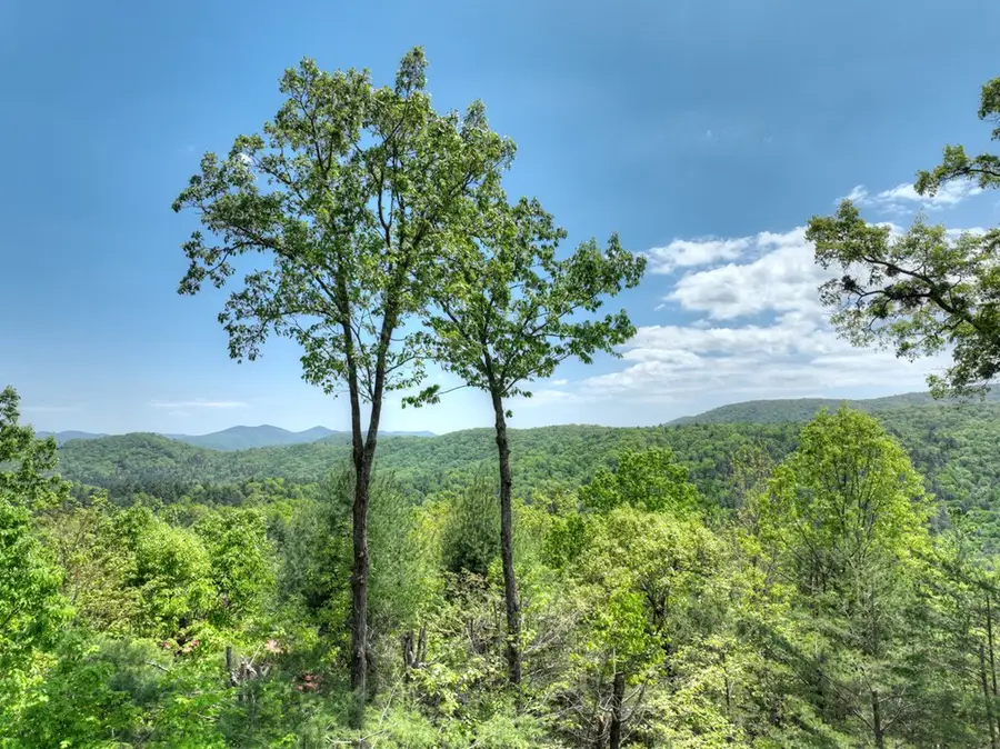 46 Cochise Road, Blue Ridge, GA 30513 - #2