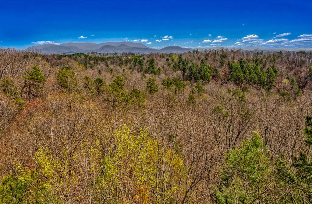 104 AC Legion Road, Ellijay, GA 30540 - #1