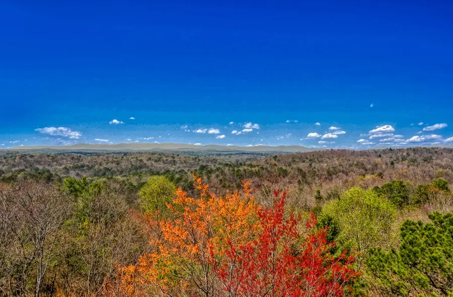 104 AC Legion Road, Ellijay, GA 30540 - #2