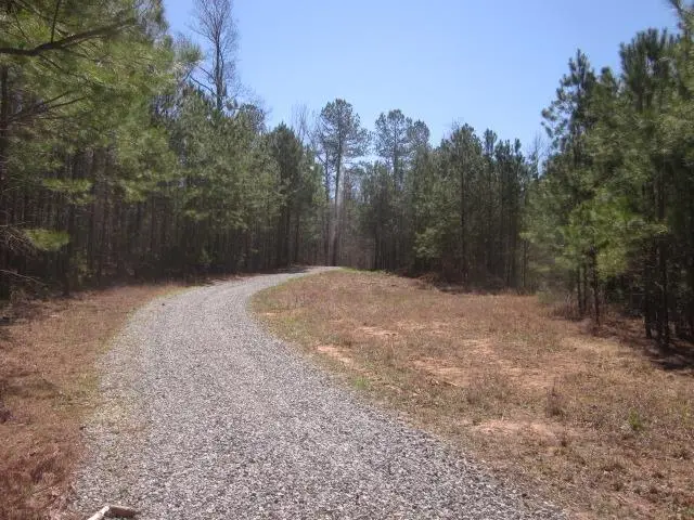 000 W Hwy 136, Talking Rock, GA 30175 - #3