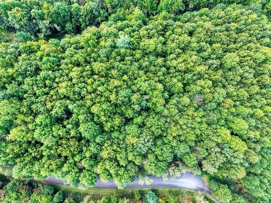 Lot 32 Westside Drive, Blairsville, GA 30512 - #2