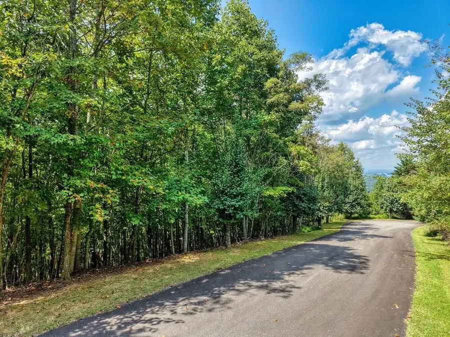 Lot 32 Westside Drive, Blairsville, GA 30512 - #3