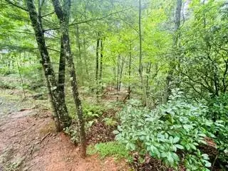 Lot 106 Pine Terrace Circle, Blue Ridge, GA 30513 - #1