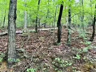 Lot 107 Pine Terrace Circle, Blue Ridge, GA 30513 - #2