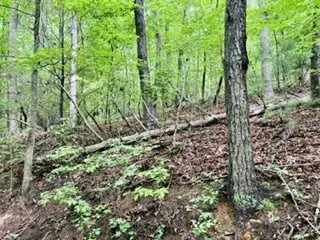 Lot 107 Pine Terrace Circle, Blue Ridge, GA 30513 - #3