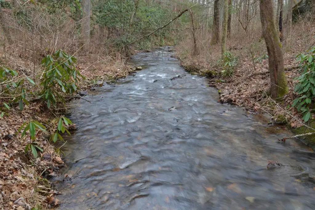 18 & 19 Sarvis Road, Hayesville, NC 28904 - #1