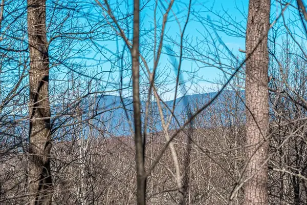 Lot 136 St Andrews Way, Ellijay, GA 30536