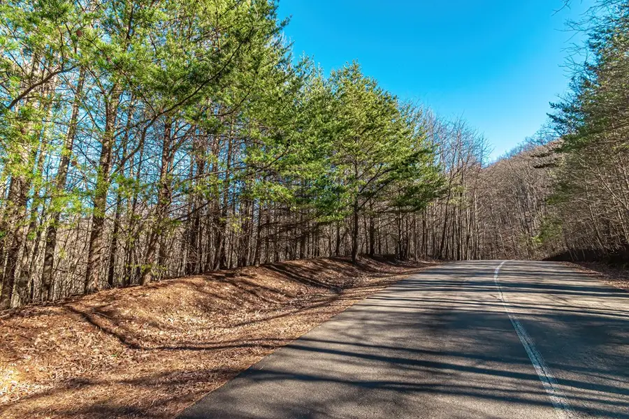 Lot 136 St Andrews Way, Ellijay, GA 30536 - #2