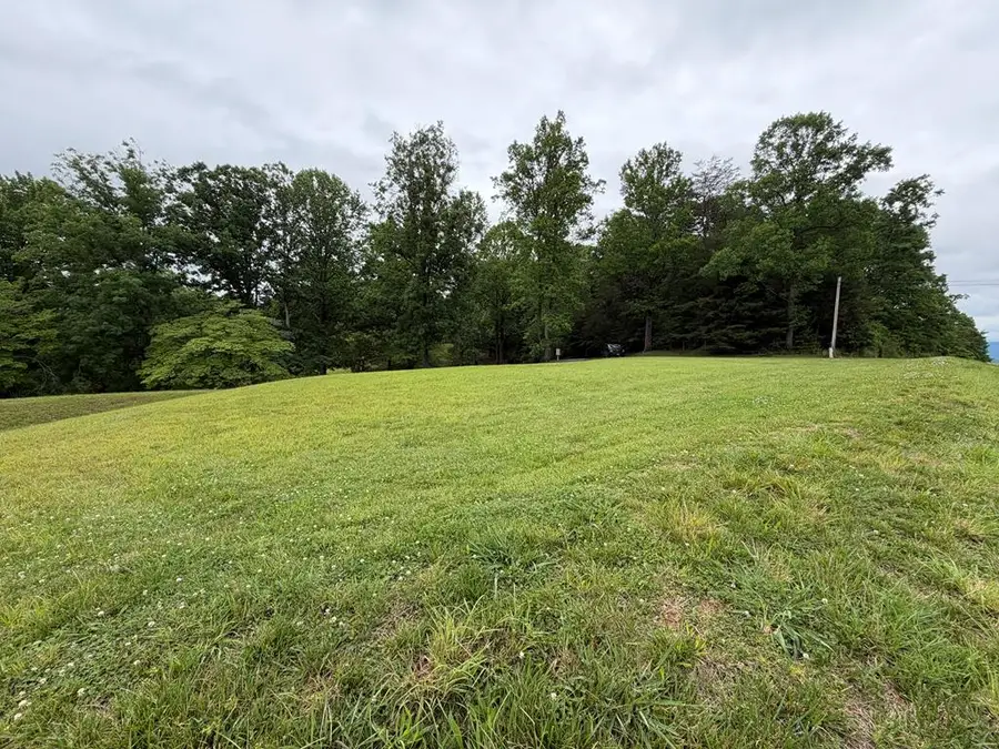 Lot 1 Drake Ridge Drive, Hayesville, NC 28904 - #3