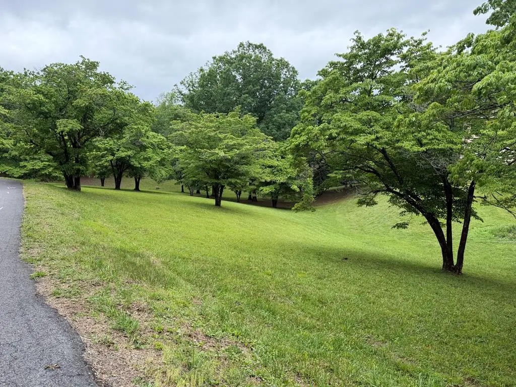 Lot 4 Drake Ridge Drive, Hayesville, NC 28904 - #1