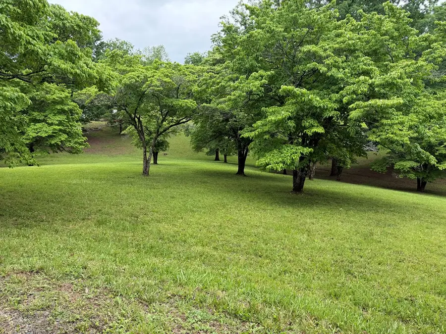 Lot 4 Drake Ridge Drive, Hayesville, NC 28904 - #2
