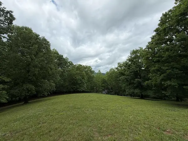 Lot 17 Drake Ridge Lane, Hayesville, NC 28904