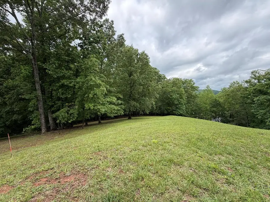 Lot 17 Drake Ridge Lane, Hayesville, NC 28904 - #2