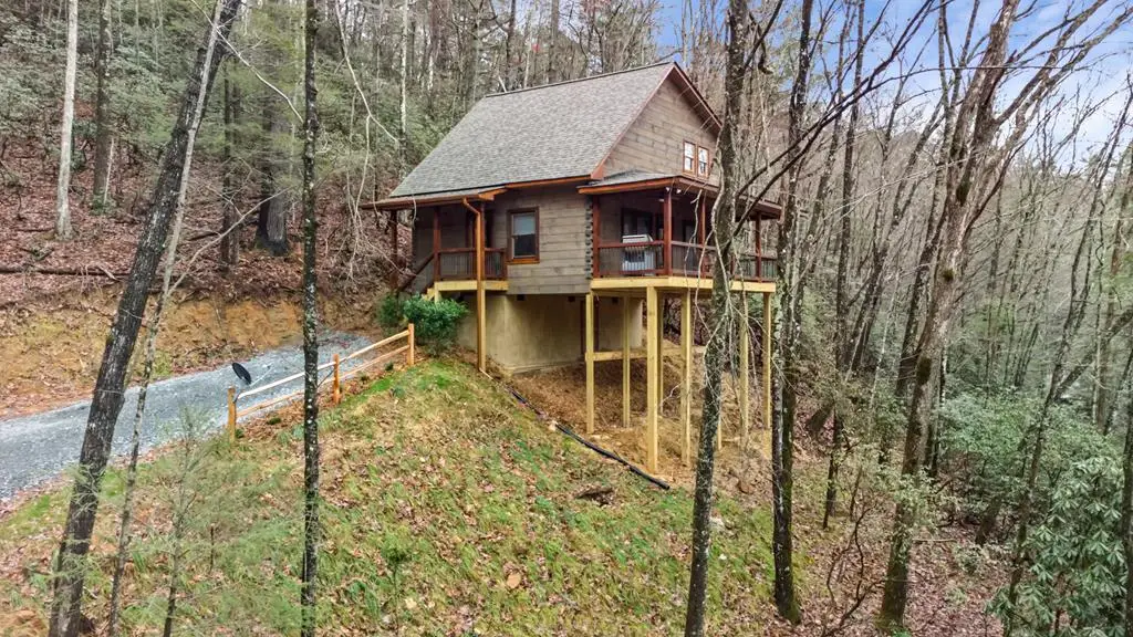 187 Cashes Valley Lane, Cherry Log, GA 30522 - #1