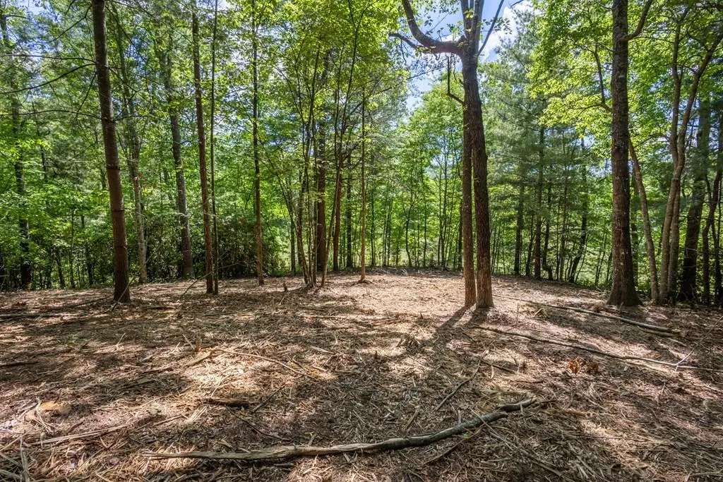 4.2 acre Donley Road, Murphy, NC 28906 - #1