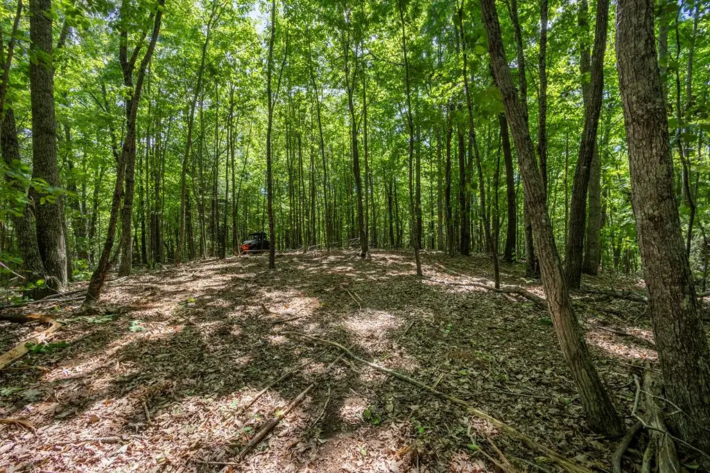 20 Ac Pack Mountain Road, Murphy, NC 28906 - #1
