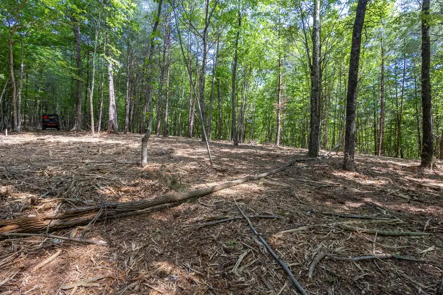 20 Ac Pack Mountain Road, Murphy, NC 28906 - #2