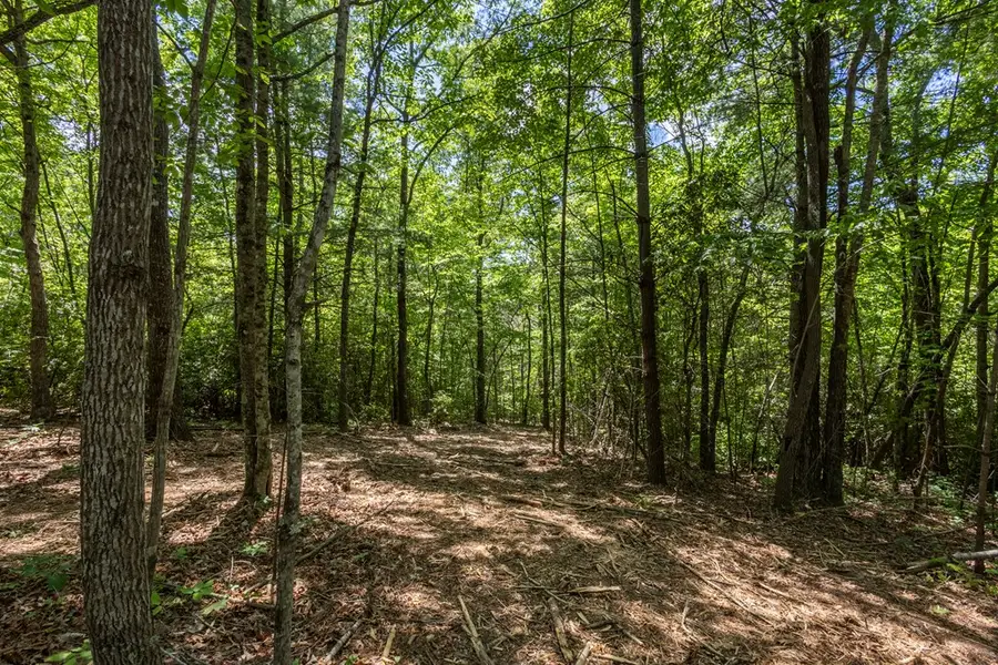 20 Ac Pack Mountain Road, Murphy, NC 28906 - #3