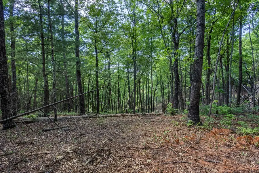 4.3 Ac Donley Road, Murphy, NC 28906 - #3