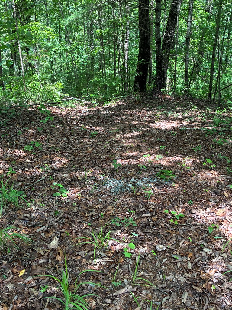 L66 67 Lynx Court, Ellijay, GA 30540 - #2