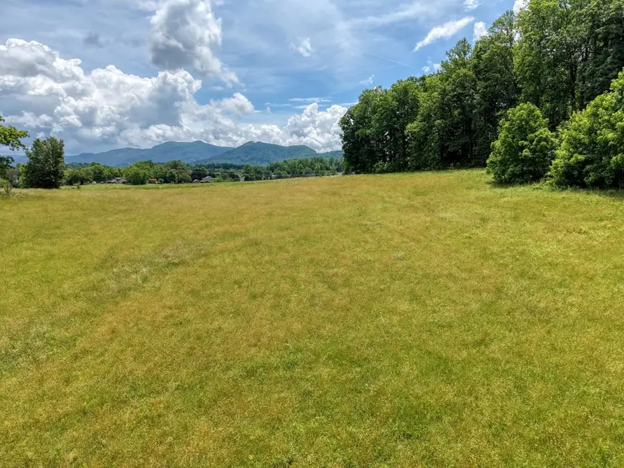 1404 Holly Point Road, Hiawassee, GA 30546 - #2