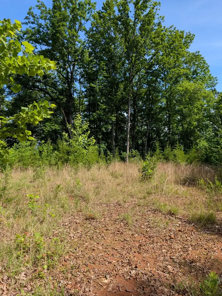 TR 2 Falcon Overlook, Hayesville, NC 28904 - #2