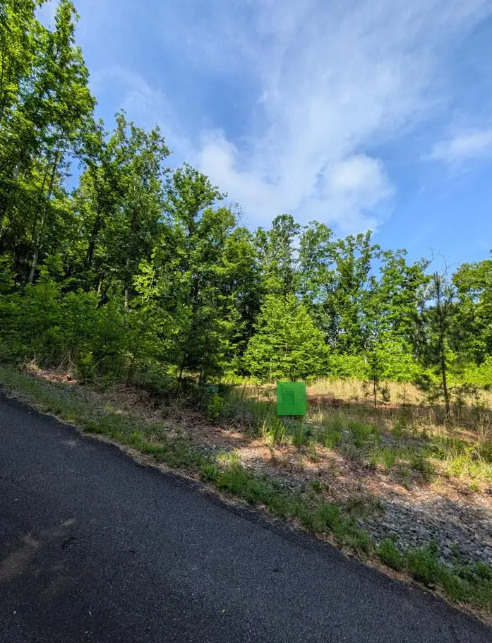 TR 2 Falcon Overlook, Hayesville, NC 28904 - #3