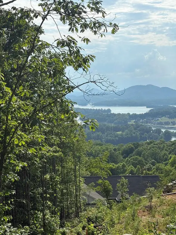 Lot 46 Dan Knob (lot), Hayesville, NC 28904
