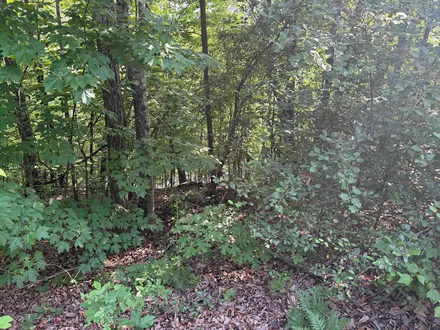 Lot 46 Dan Knob (lot), Hayesville, NC 28904 - #2