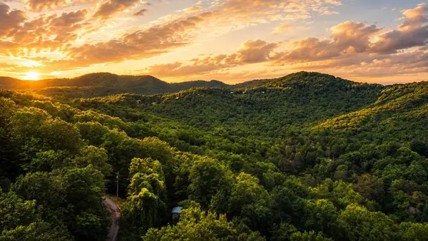 5.58 Gobbler Knob Drive, Ellijay, GA 30540
