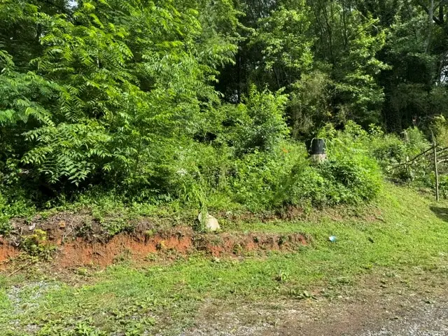 92 Benji Drive, Ellijay, GA 30540 - #2