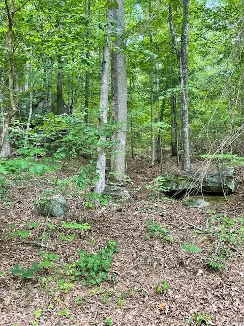 11 Lonesome Pine Road, Murphy, NC 28906 - #1