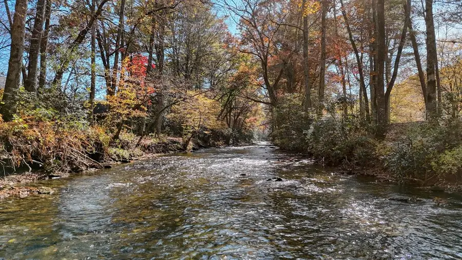 Lot 5 Big Pine Drive, Hiawassee, GA 30546 - #2